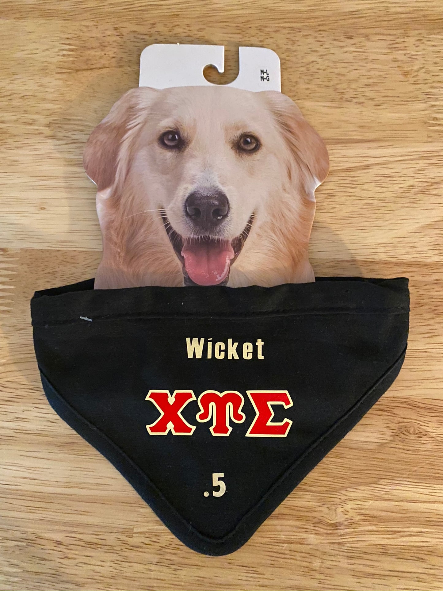 Chi Upsilon Sigma Pet Bandana - Charrs Crafts